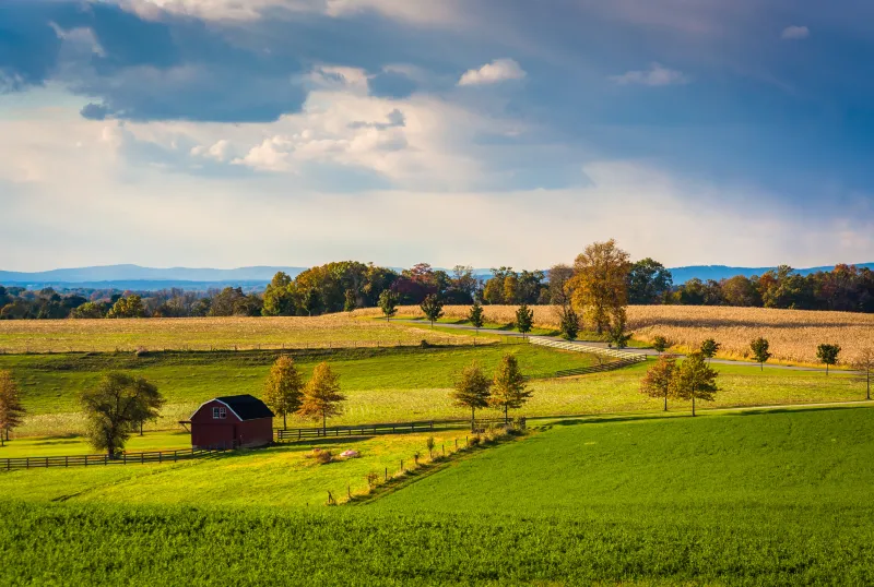 Left Behind by the Rulebook: How National Standards Are Failing Rural and Remote American Industries